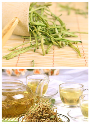 几点关于金银花茶的功效与禁忌
